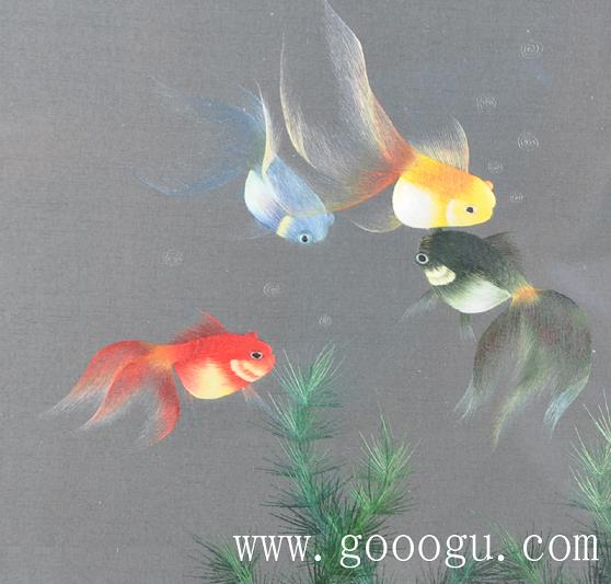 金魚(yú)自由自在的游動(dòng)、展現(xiàn)出形態(tài)優(yōu)美的舞姿！
